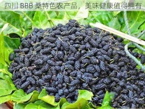 四川 BBB 桑特色农产品，美味健康值得拥有