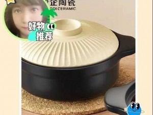 大香煮 2022 一人一煮：简单易用的烹饪神器