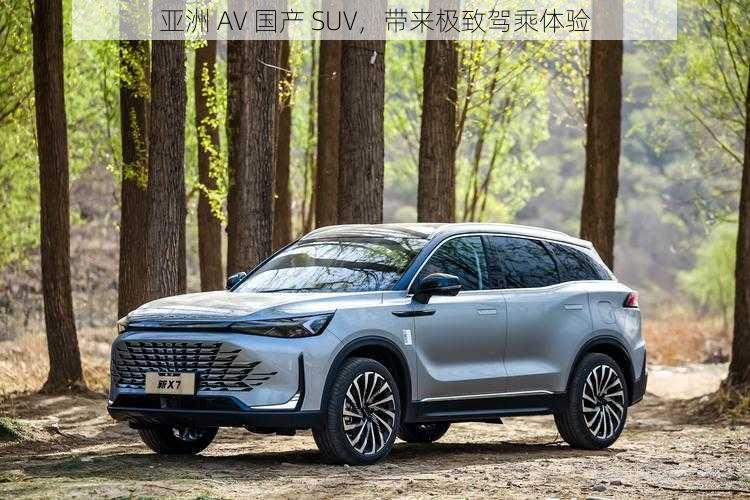 亚洲 AV 国产 SUV，带来极致驾乘体验