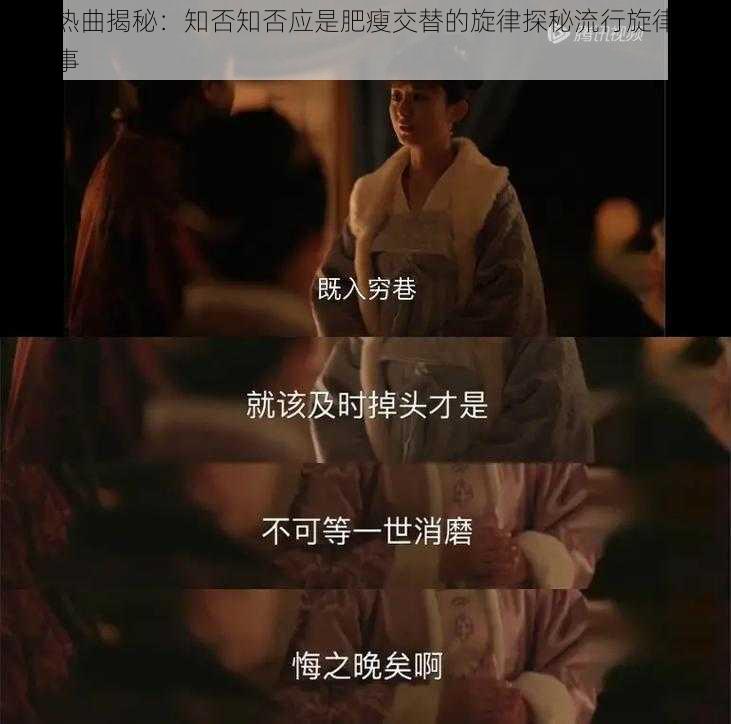 抖音热曲揭秘：知否知否应是肥瘦交替的旋律探秘流行旋律背后的故事