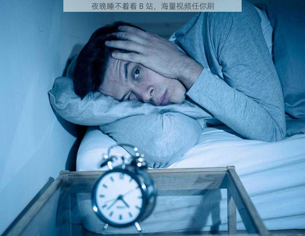 夜晚睡不着看 B 站，海量视频任你刷