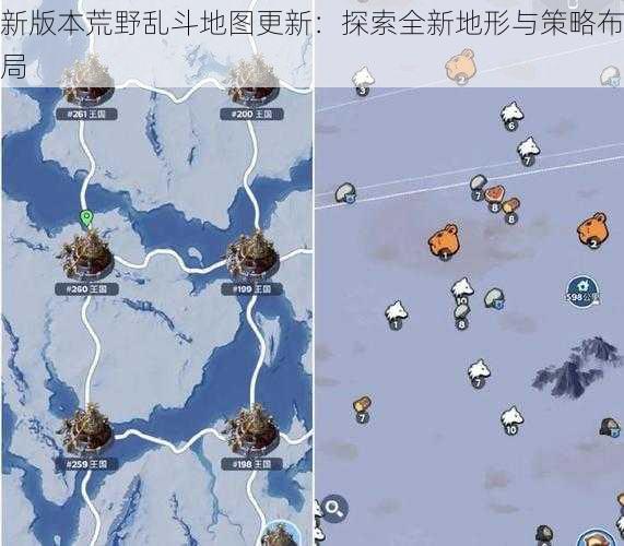 新版本荒野乱斗地图更新：探索全新地形与策略布局