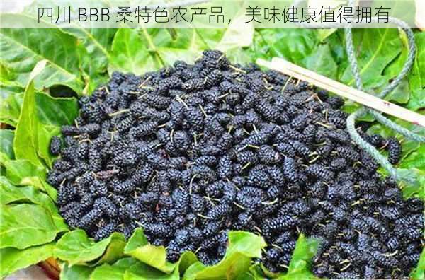 四川 BBB 桑特色农产品，美味健康值得拥有