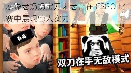 暴躁老奶奶宝刀未老，在 CSGO 比赛中展现惊人实力