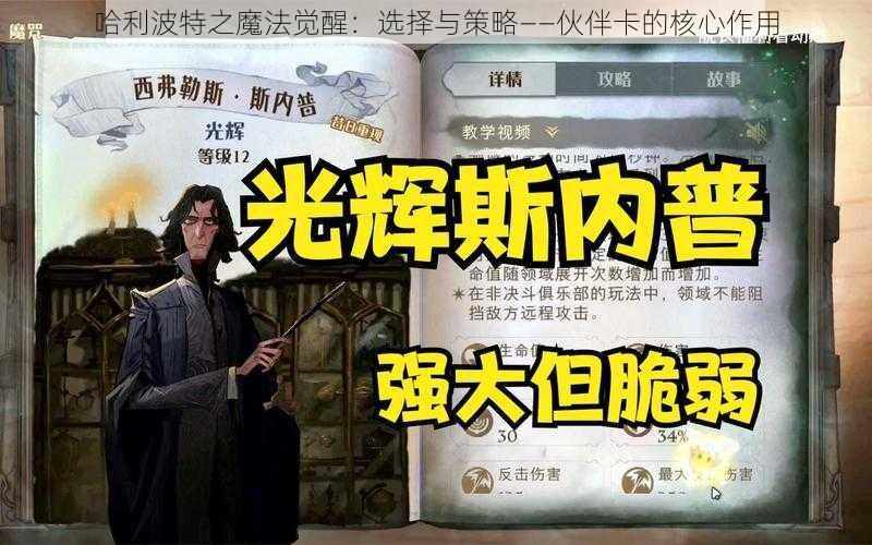 哈利波特之魔法觉醒：选择与策略——伙伴卡的核心作用