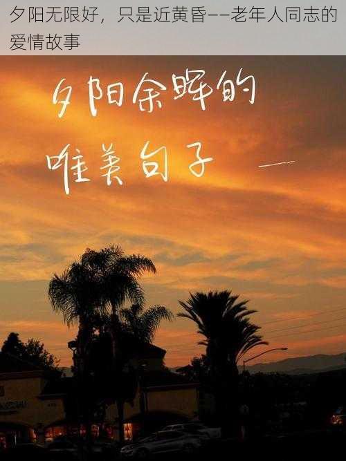 夕阳无限好，只是近黄昏——老年人同志的爱情故事