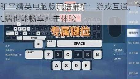 和平精英电脑版玩法解析：游戏互通，PC端也能畅享射击体验