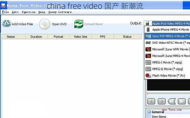 china free video 国产 新潮流