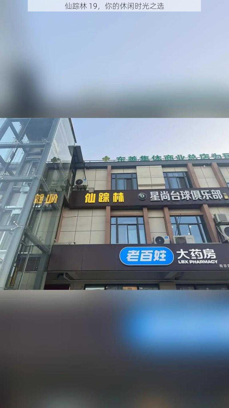 仙踪林 19，你的休闲时光之选